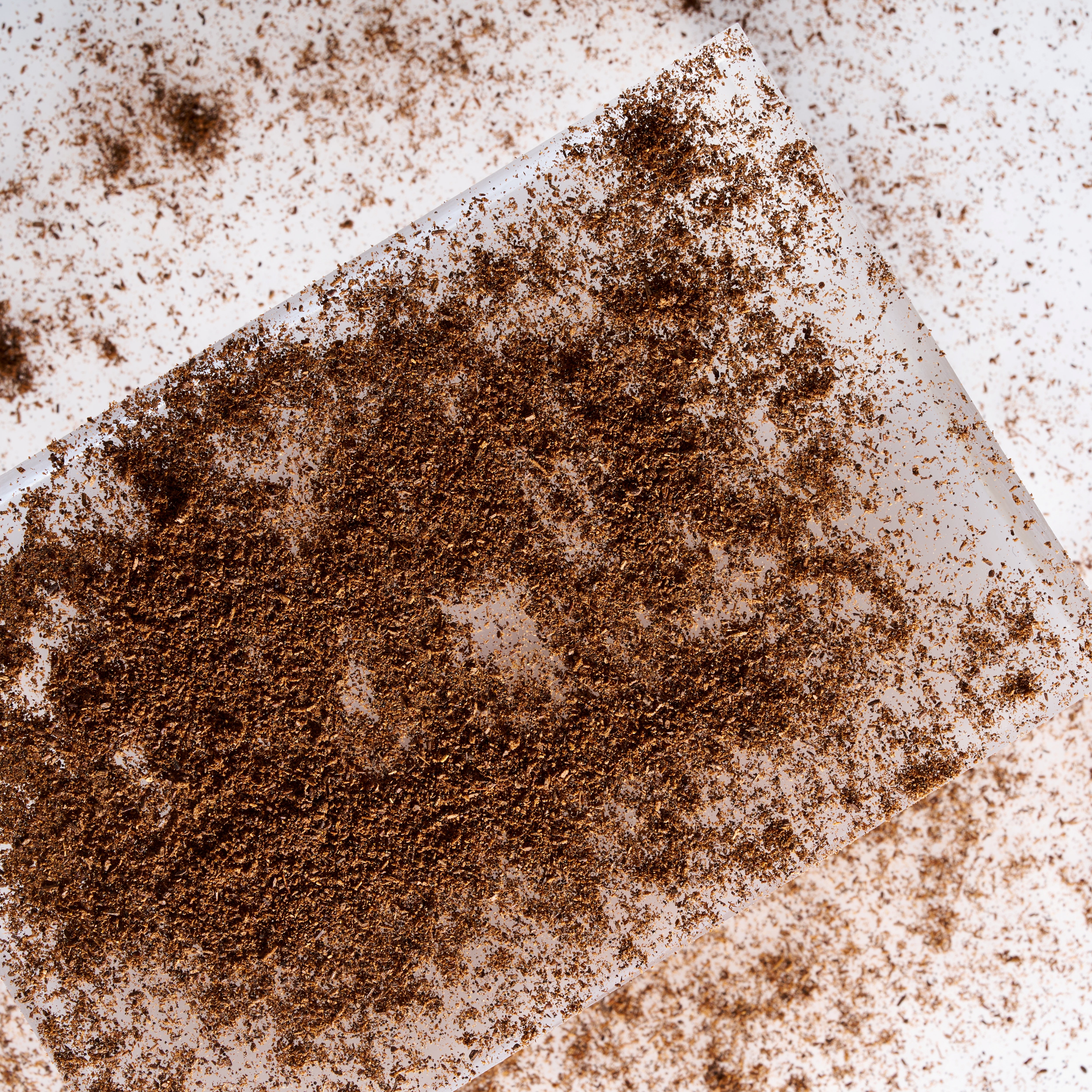 Bio Bourbon Vanillepulver