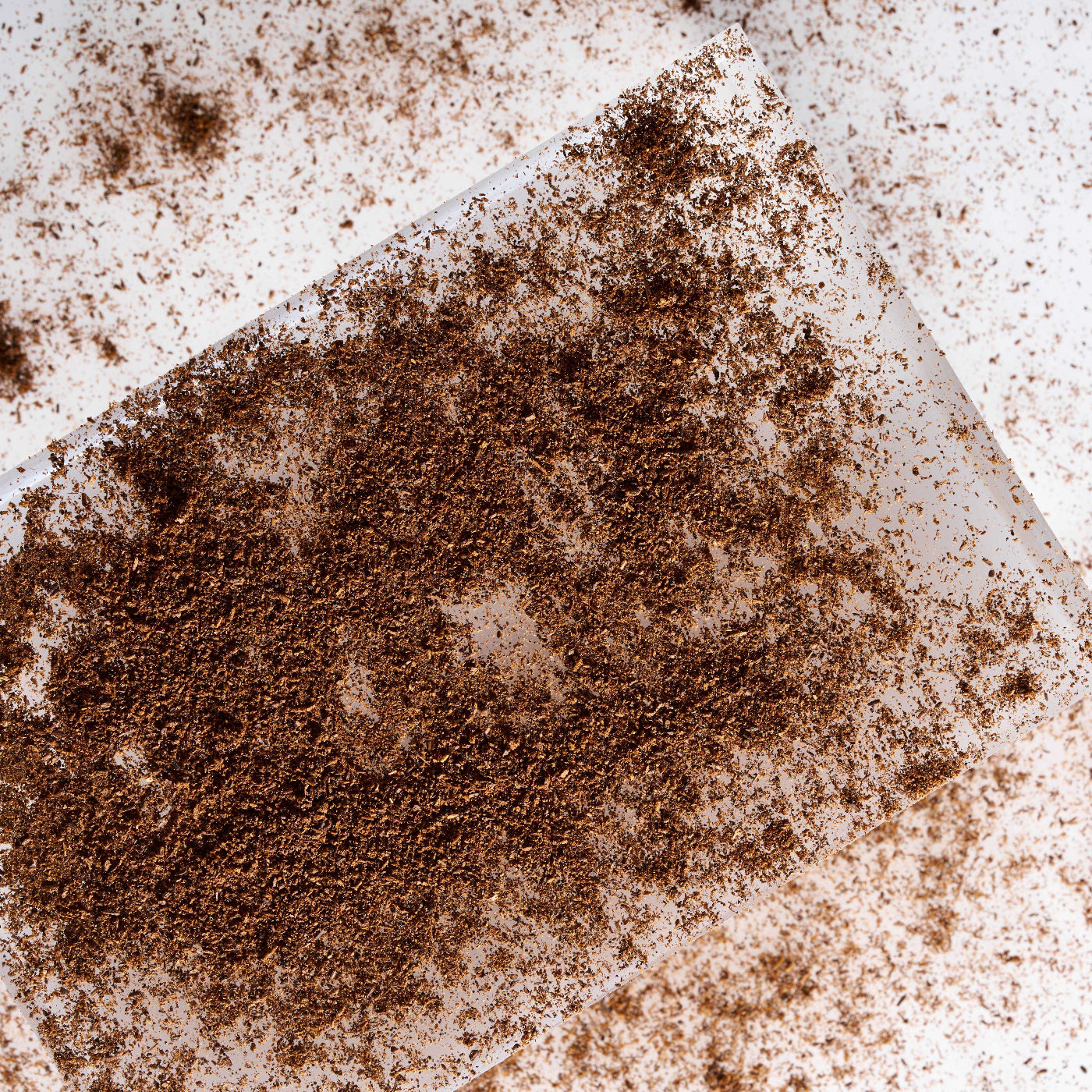Bio und konventionelles Bourbon Vanillepulver in reiner Qualität